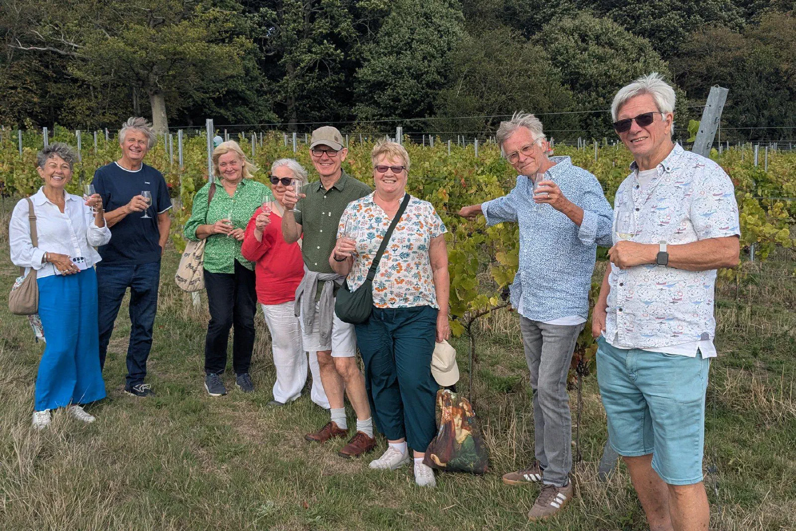 A group of eight guests standing together in front of the vines