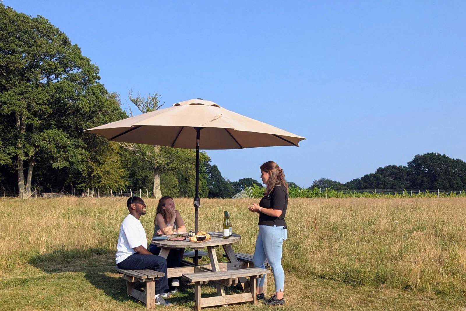 Two guests at a picnic table in a meadow at Wayfarer while their host pours wine under a parasol