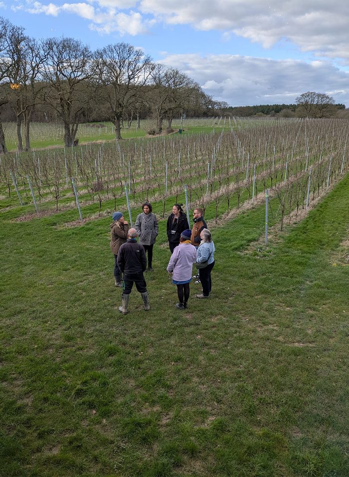 Learning about viticulture
