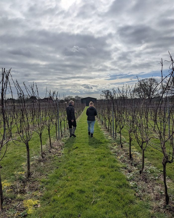 Winemaker’s Walk
