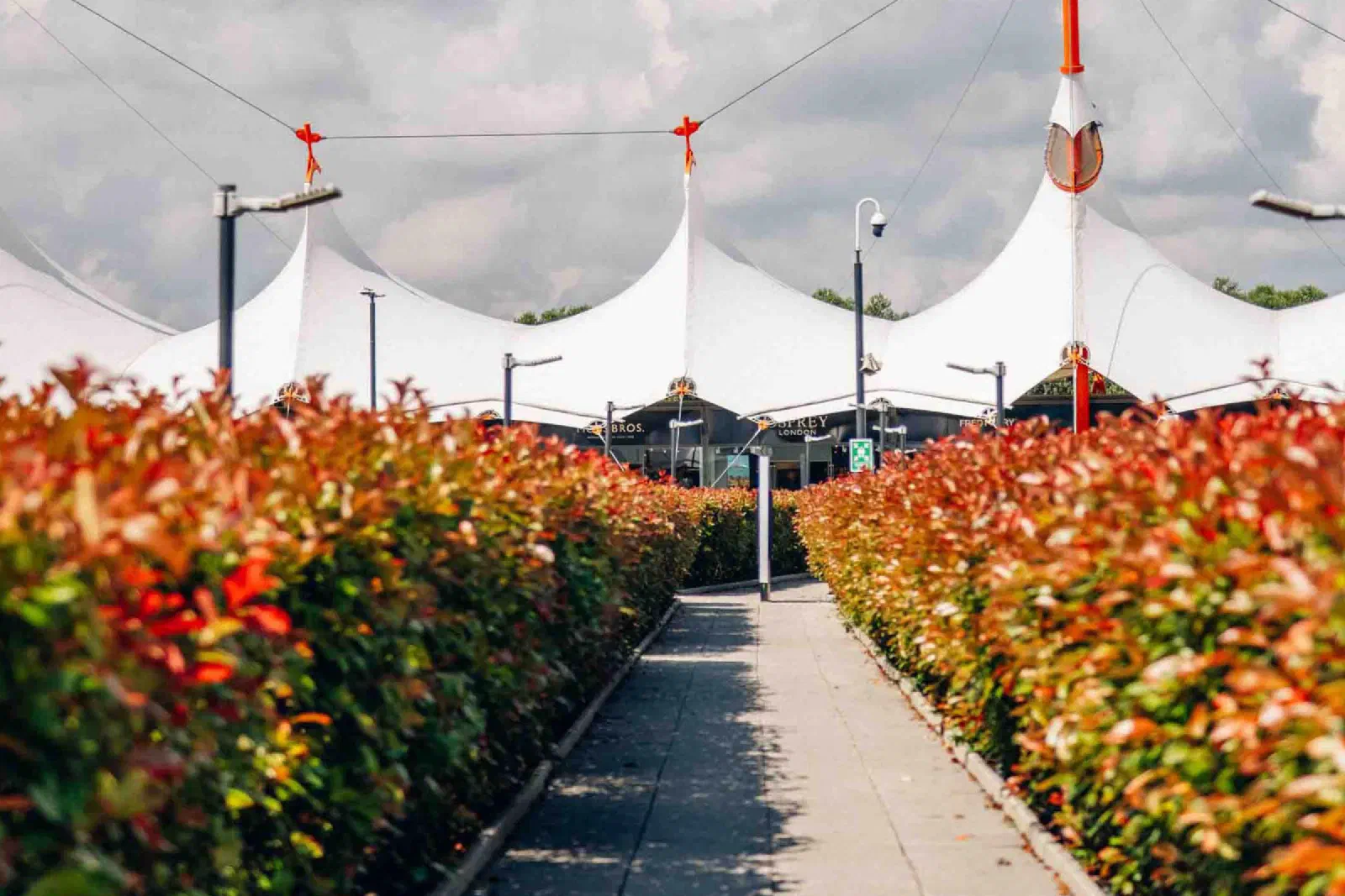 The white tented roofs of Ashford Designer Outlet beyond a paved path between hedges turning red in autumn