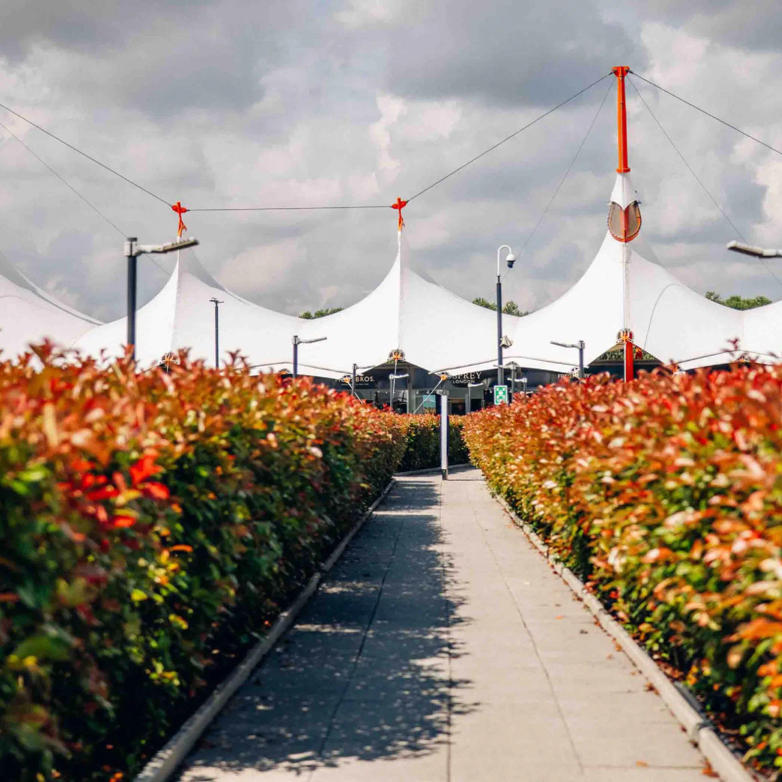 The white tented roofs of Ashford Designer Outlet beyond a paved path between hedges turning red in autumn